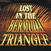 Bermuda_Banner_Aud